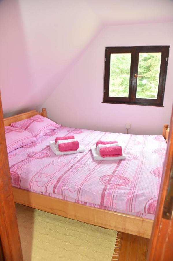 Vikendica Na Sokolini Villa Gornja Koprivna Kültér fotó